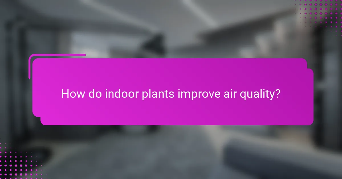 How do indoor plants improve air quality?