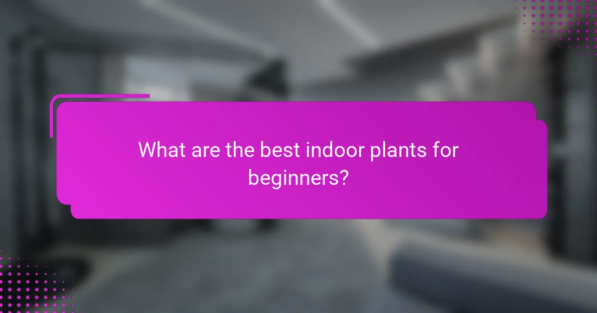 What are the best indoor plants for beginners?
