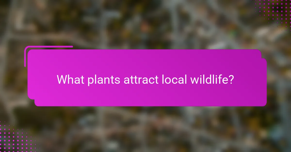 What plants attract local wildlife?